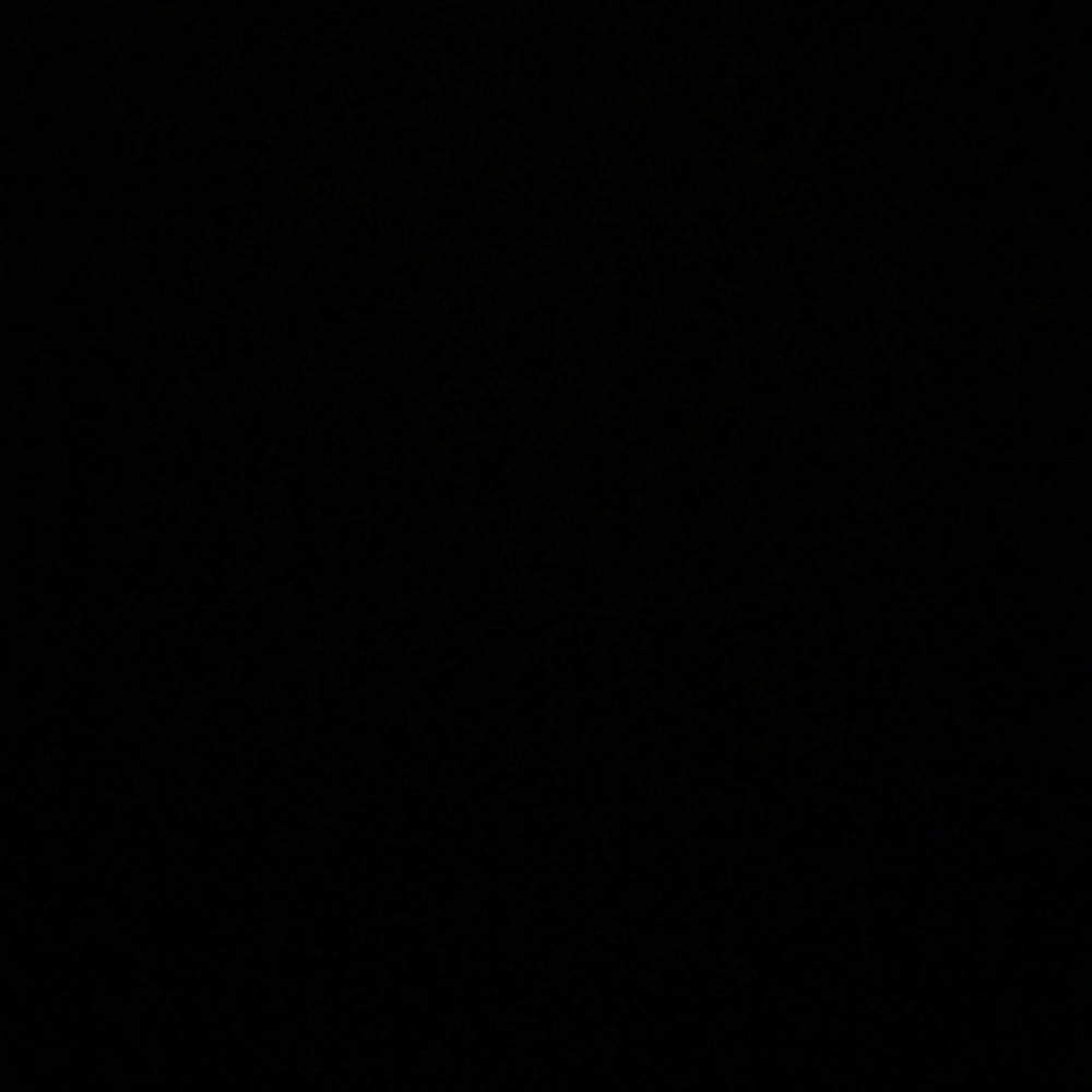 Meet your Posher, Giana